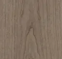Rock Elm