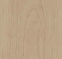 Beach Teak