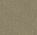 Birch