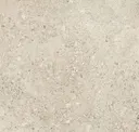 Shellamber