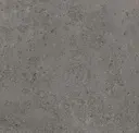 Shelldark