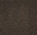 Tempest Coffee Bean