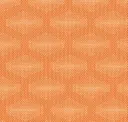 Citrus Delight