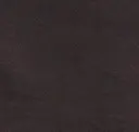 Ebony