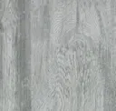 Wood Lichen
