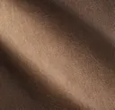Funghi