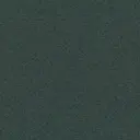 Spruce