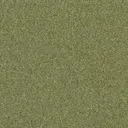 Sprout