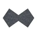 Aegean