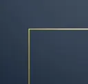 Navy And Gold
