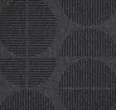 Iron