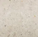 Avorio