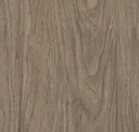 Teak
