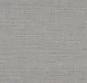 Iron