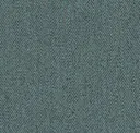 Tame Teal