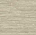 Sand Dune