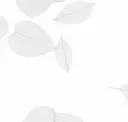 Ivory Cashmere