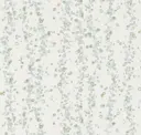 Celadon