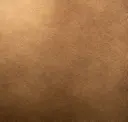 Burned Gold