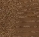 Acorn