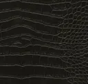 Squid Ink