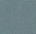 Blue Oyster