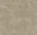 Ostrich
