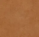 Cinnamon Stick