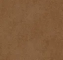 Dugout