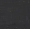 151