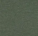 80/1