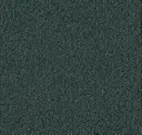 02/1