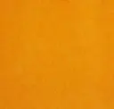 Sunkist Orange