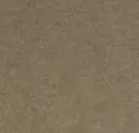 Smoky Beige