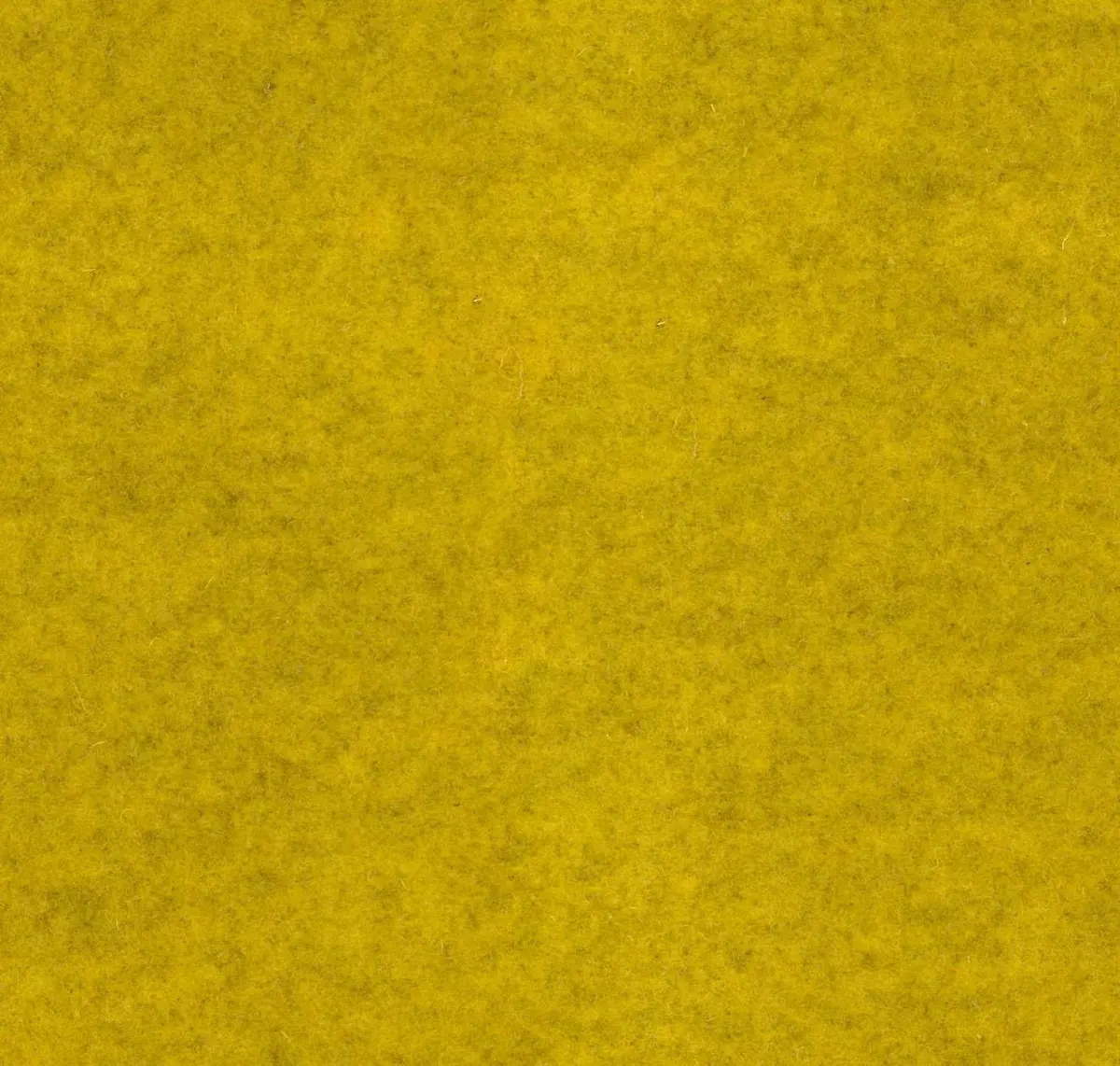 Main