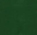 Ecofelt Leaf Green 910