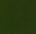 Ecofelt Grassland 937