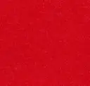 Petfelt Red 6