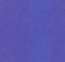Petfelt Purple 11