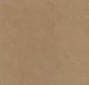 Petfelt Beige 16