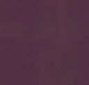 Petfelt Grapes 23