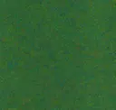 Petfelt Jungle Green 31