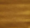 1004