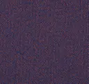 38/20