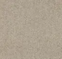 602