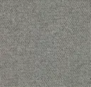 81