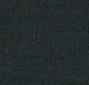 19/1