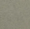 Pewter