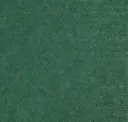 Clover