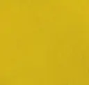 Bright Mustard